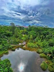 Binjai Park (D21), Detached #601017871